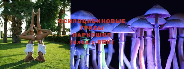 дурь Нефтегорск