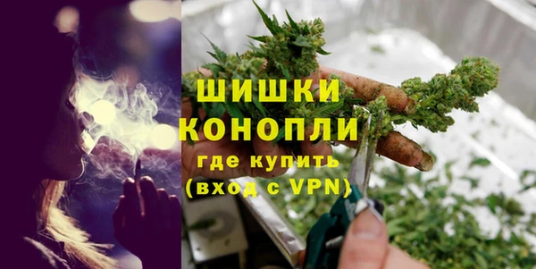 бошки Новозыбков